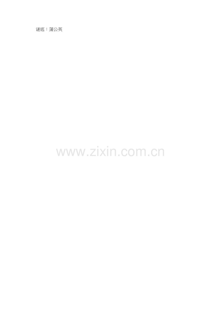 谜底是蒲公英的谜语有哪些.doc_第2页
