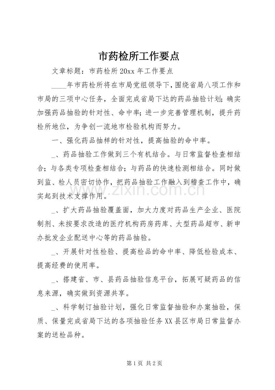 市药检所工作要点.docx_第1页