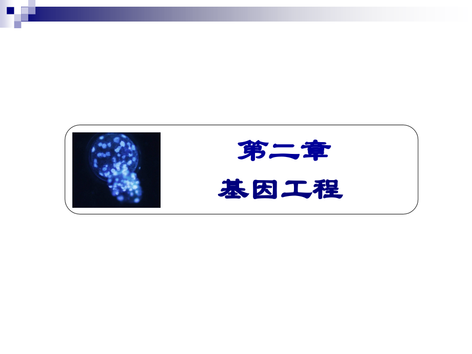 第二章+基因工程(final).ppt_第1页