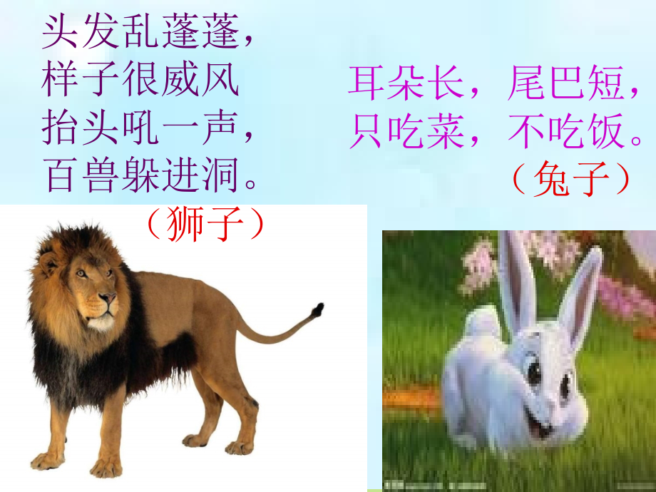 北师大版第四册《狮子和兔子》.ppt_第1页