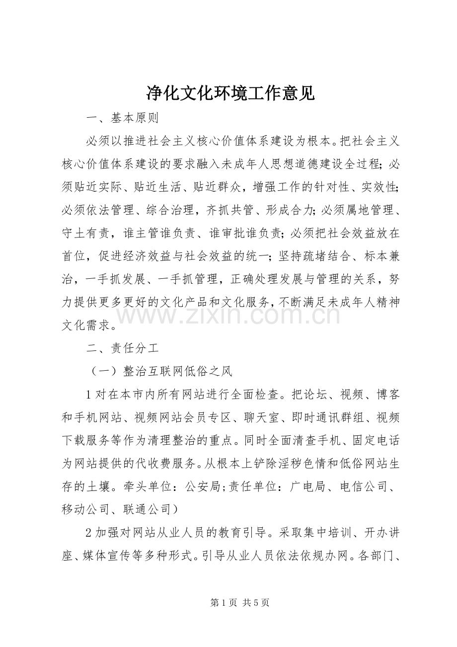 净化文化环境工作意见.docx_第1页