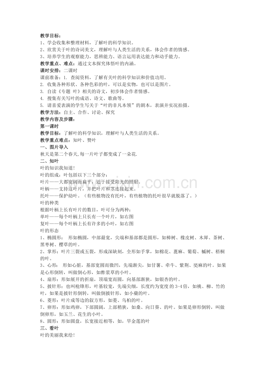 叶教学设计.doc_第1页