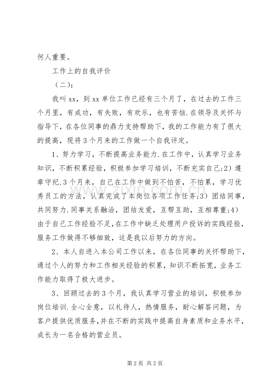 工作上的自我评价_1.docx_第2页