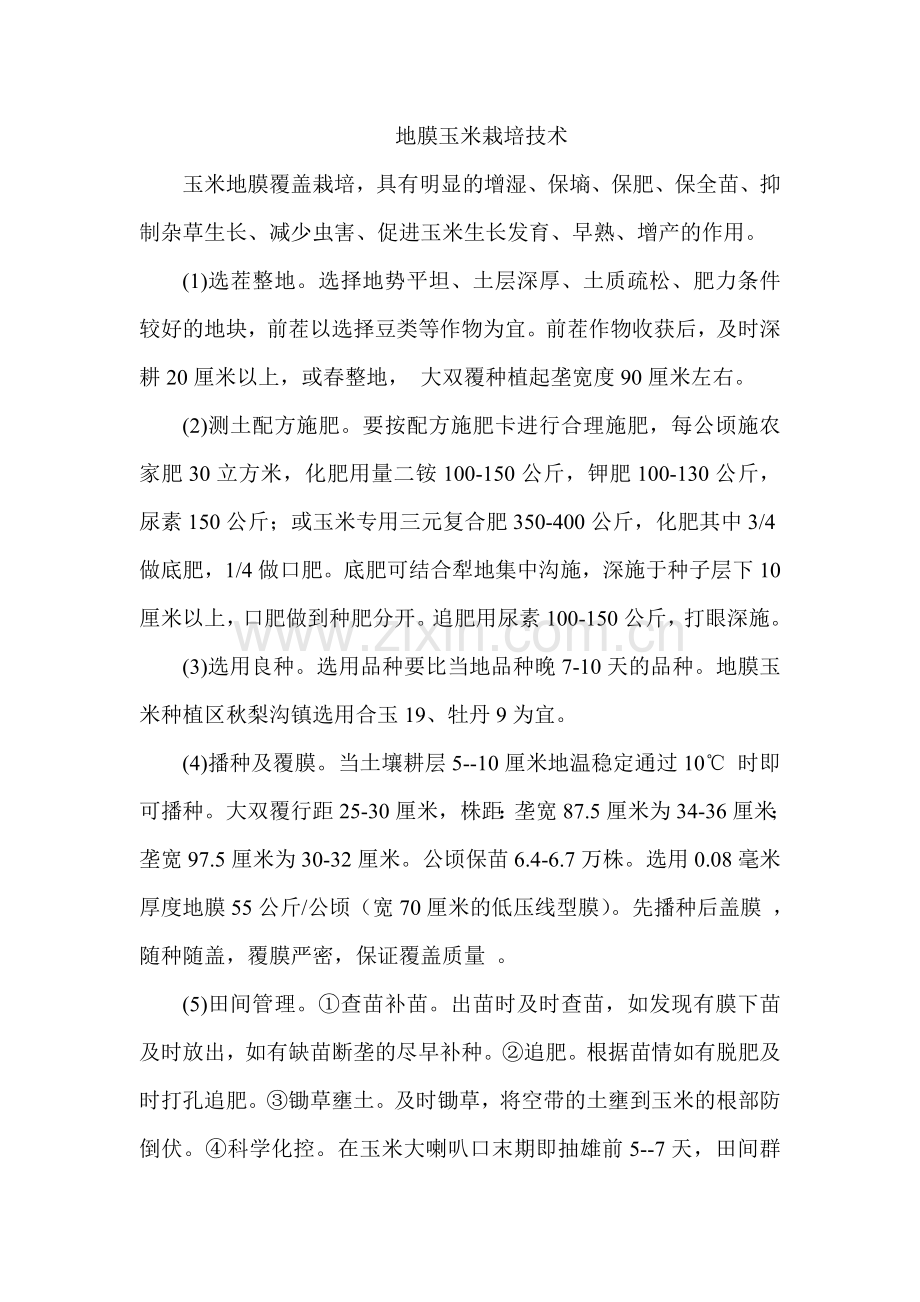 地膜玉米栽培技术.doc_第1页