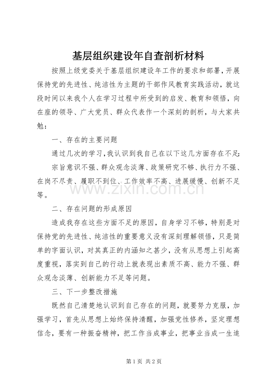 基层组织建设年自查剖析材料.docx_第1页