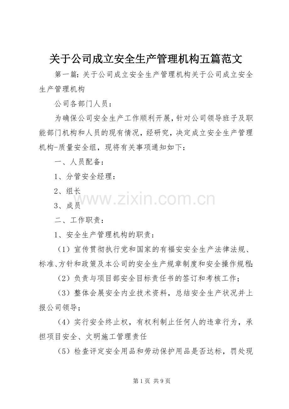 关于公司成立安全生产管理机构五篇范文.docx_第1页