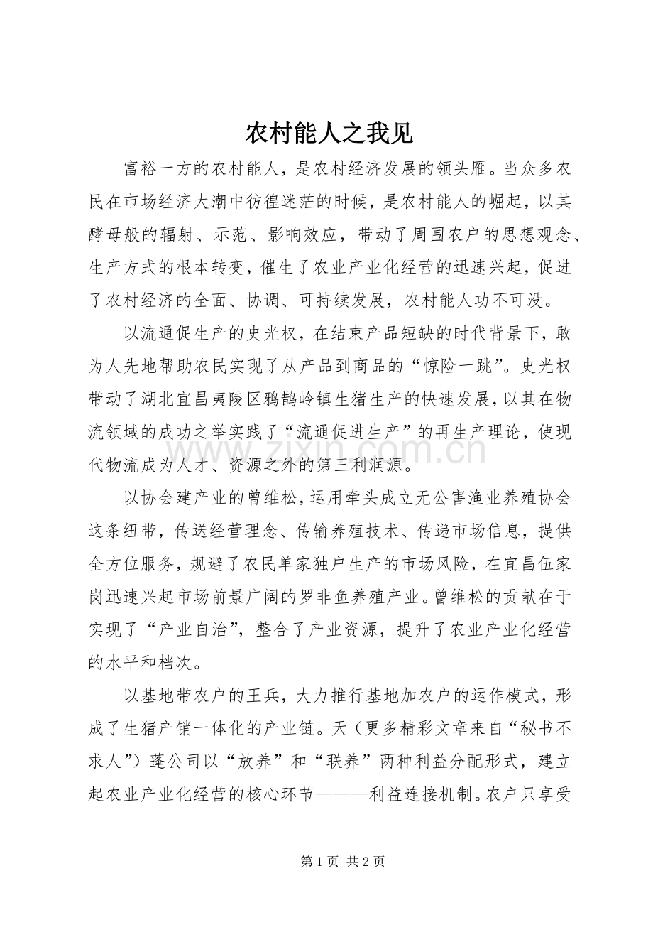 农村能人之我见.docx_第1页
