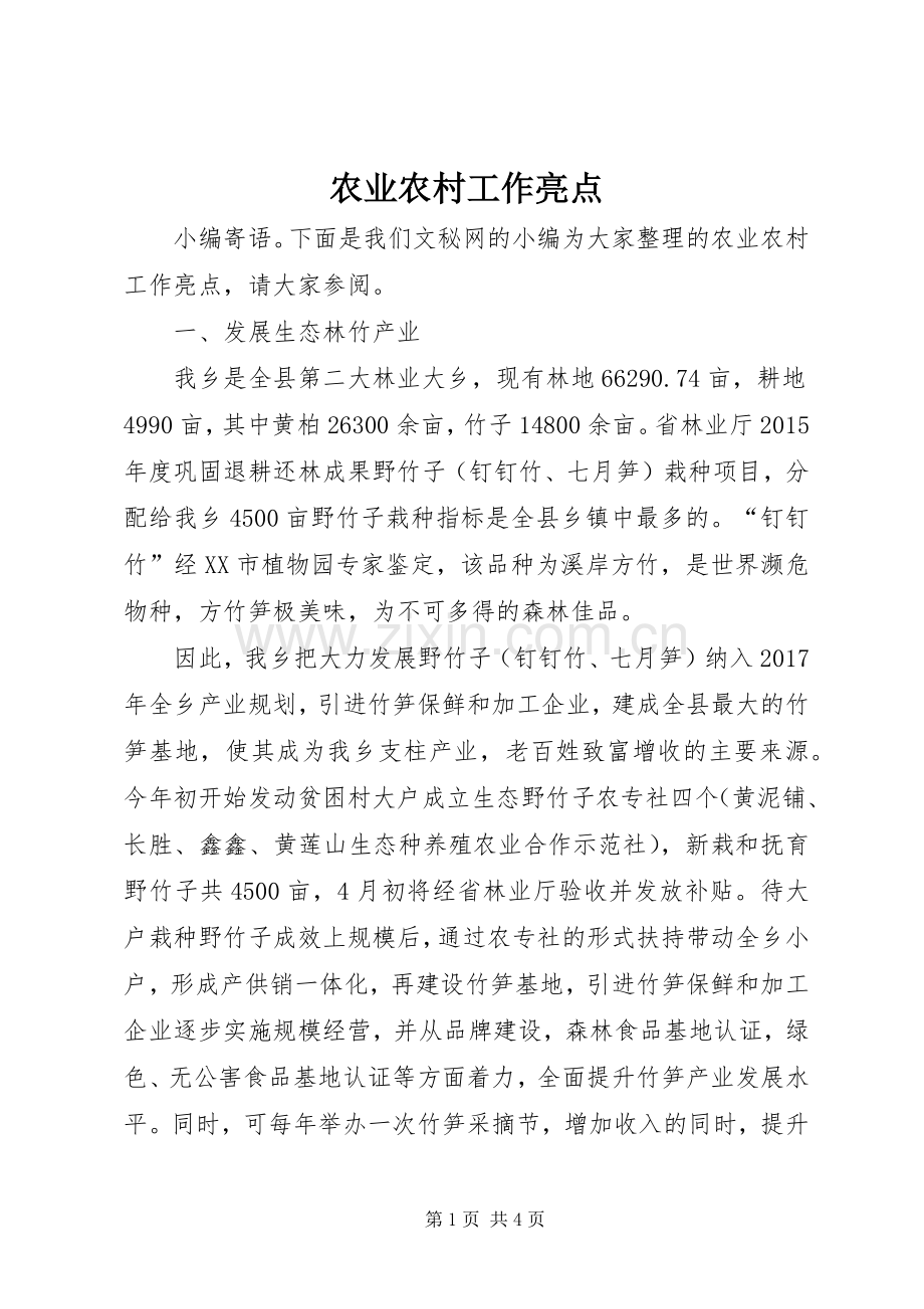 农业农村工作亮点.docx_第1页