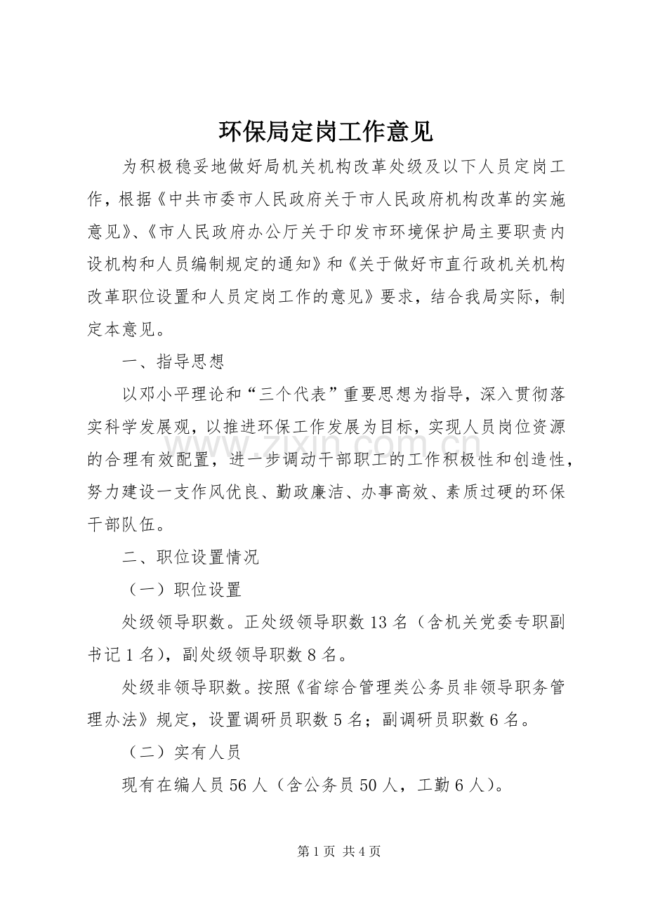环保局定岗工作意见.docx_第1页