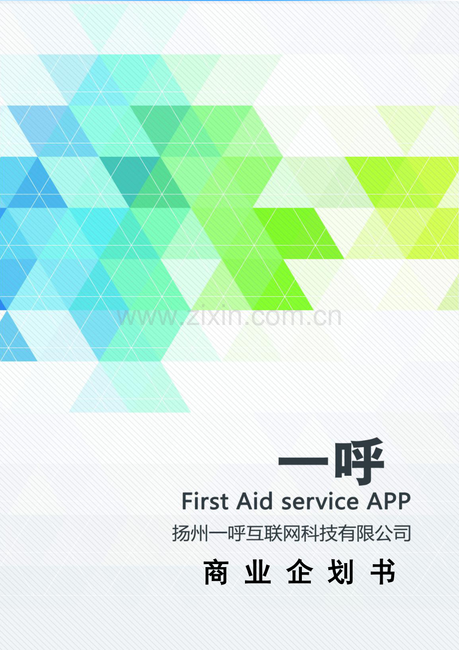 一呼+紧急救助APP+商业计划书(省赛终稿-2).docx_第2页