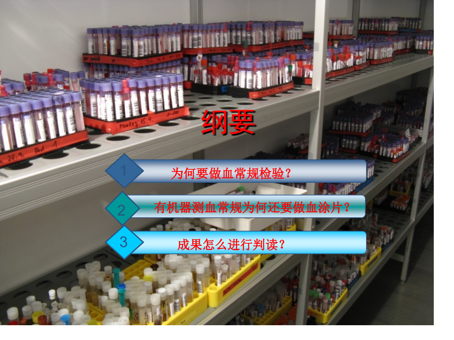 小动物血常规基础.ppt_第2页