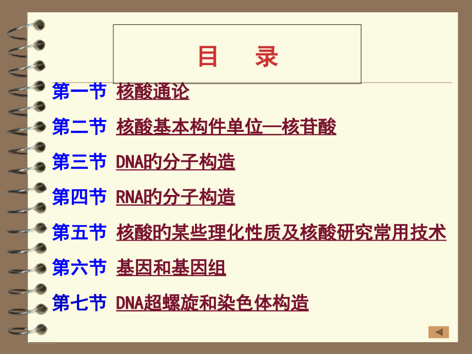 核苷酸和核酸化学.ppt_第2页