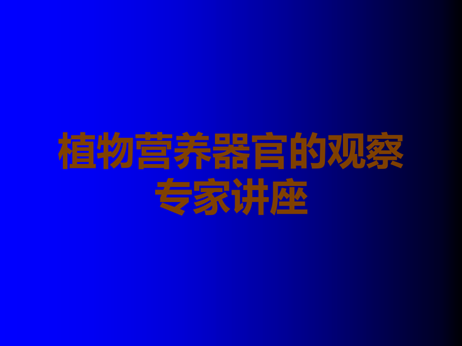 植物营养器官的观察专家讲座.ppt_第1页