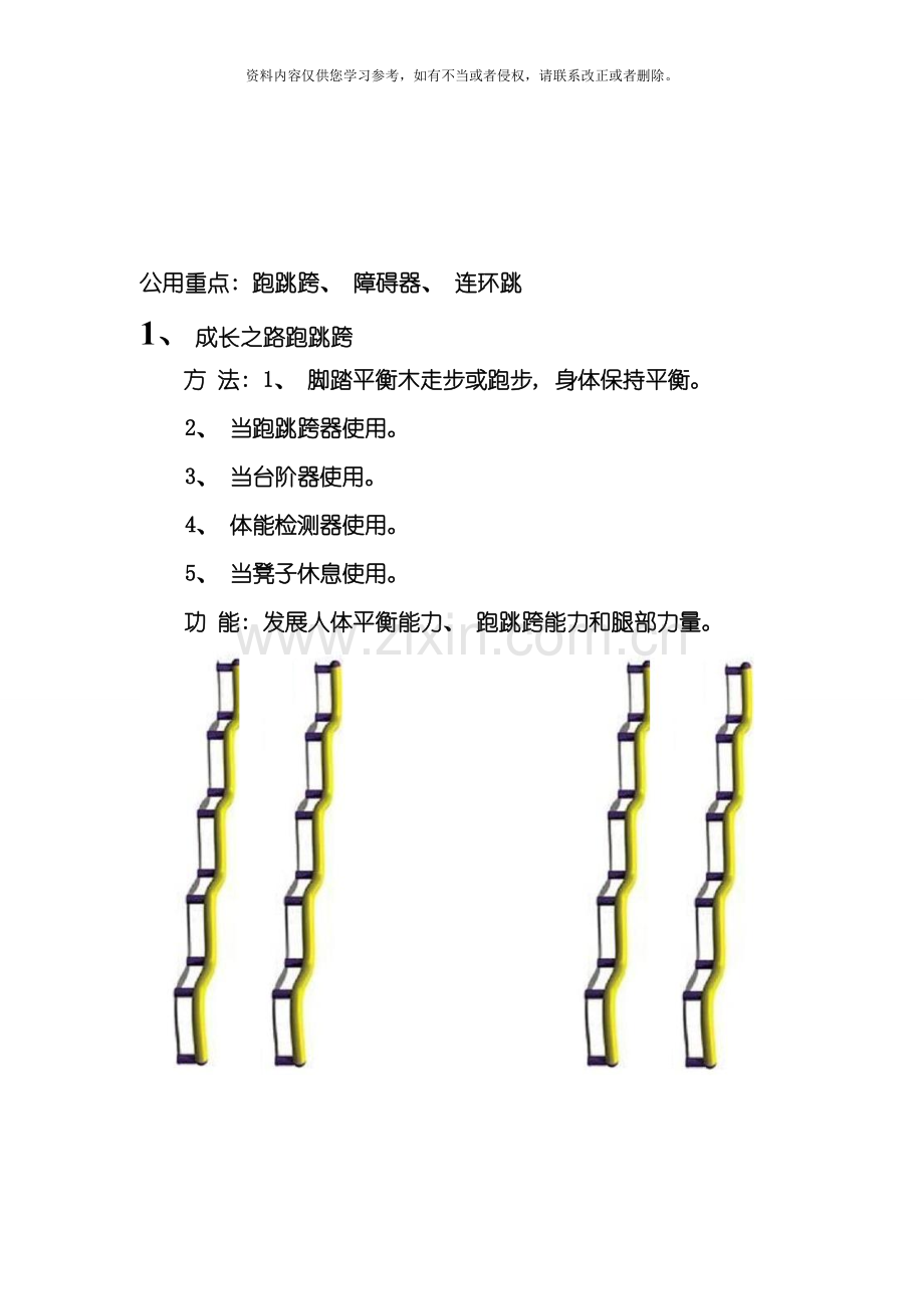 洛阳市实验中学学生健身路径开发方案模板.doc_第2页