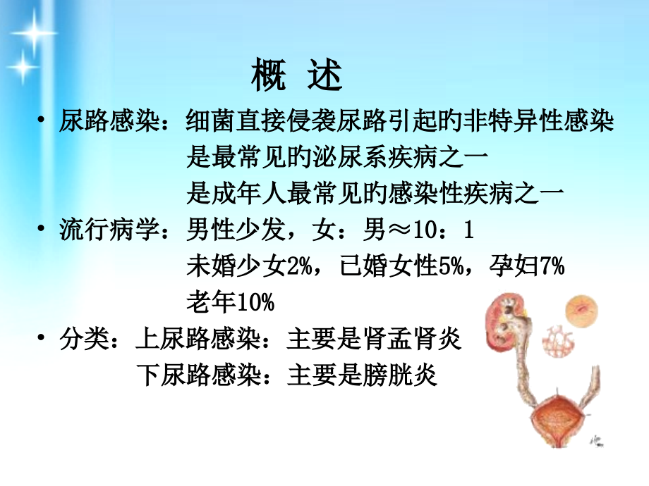 尿路感染医学知识培训.pptx_第2页