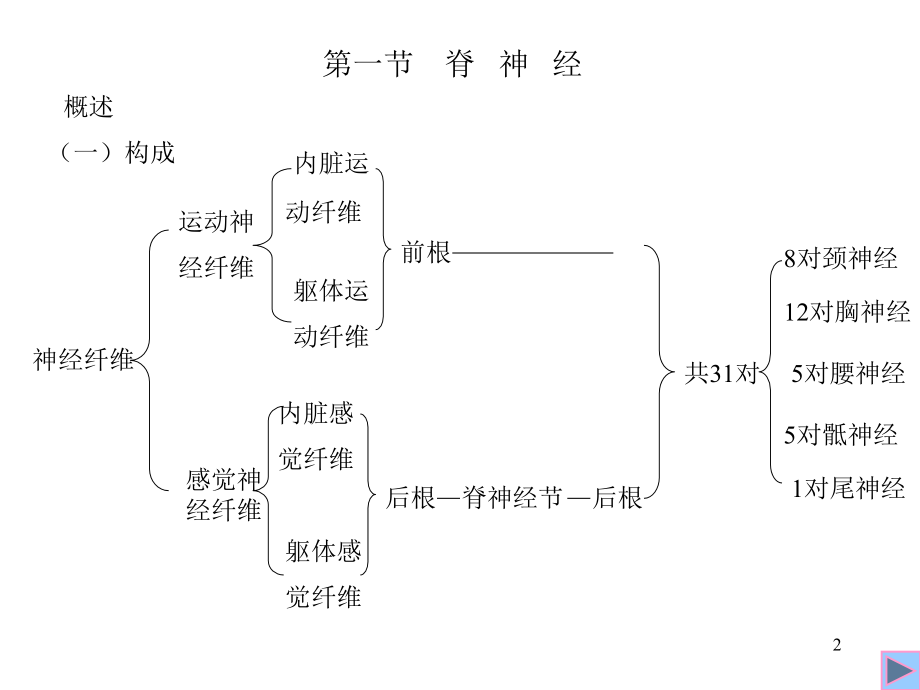 周围神经系统专题知识专家讲座.ppt_第2页