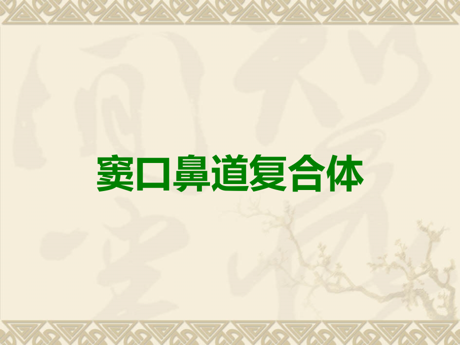 窦口鼻道复合体.ppt_第1页