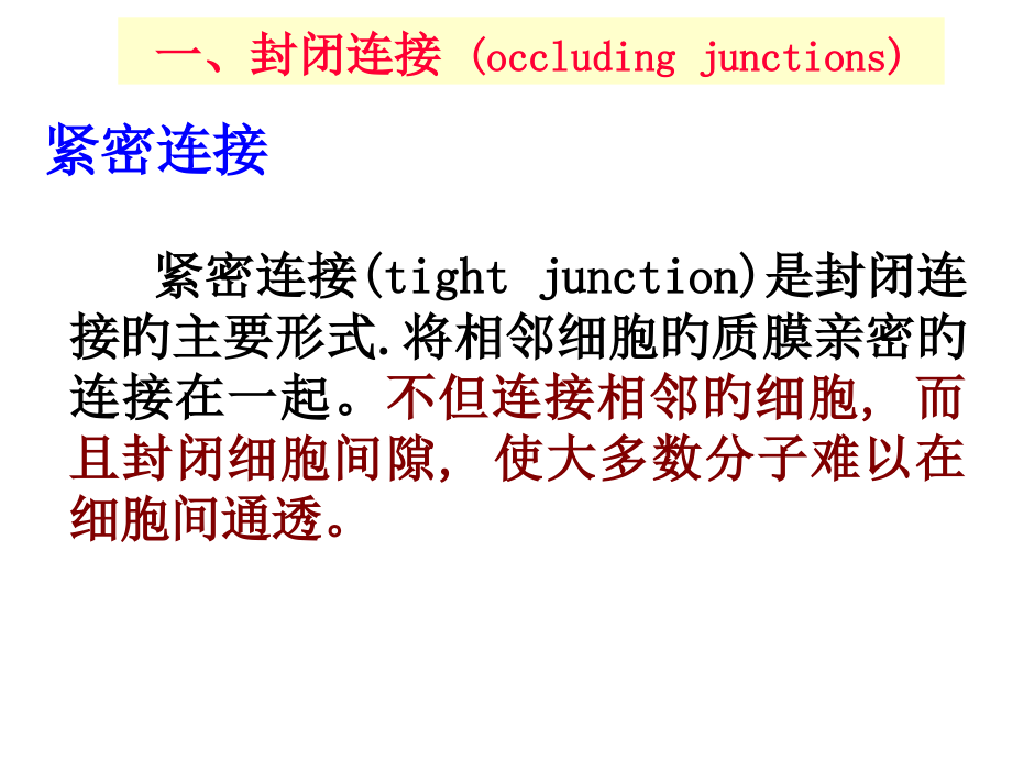 细胞生物学细胞连接和细胞外基质.ppt_第2页