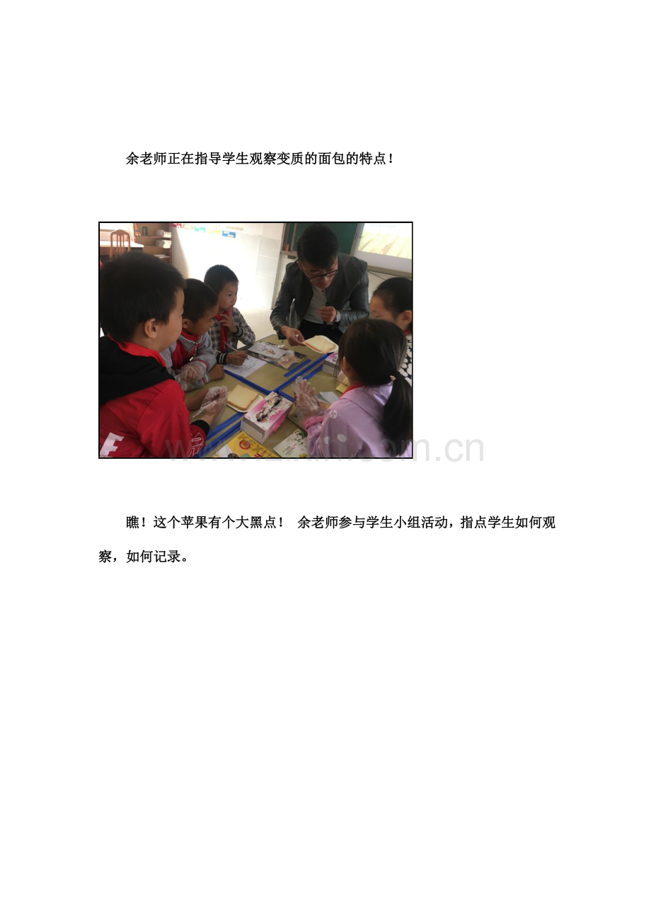 科学磨课(1).doc_第2页