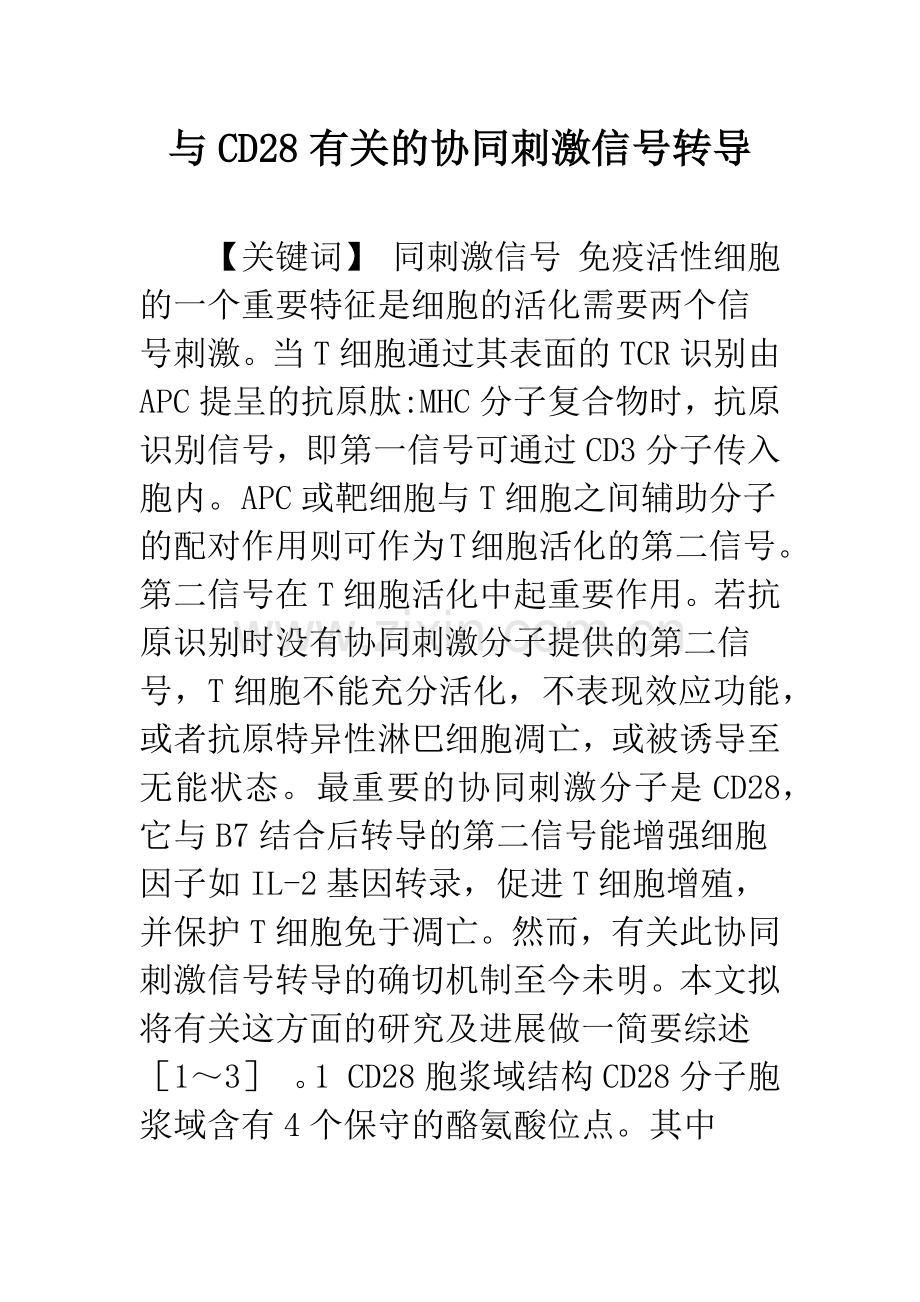 与CD28有关的协同刺激信号转导.docx_第1页