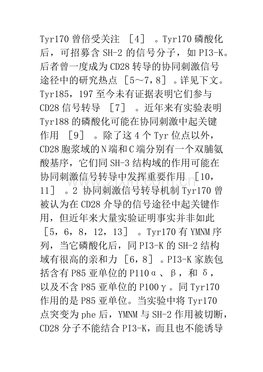 与CD28有关的协同刺激信号转导.docx_第2页