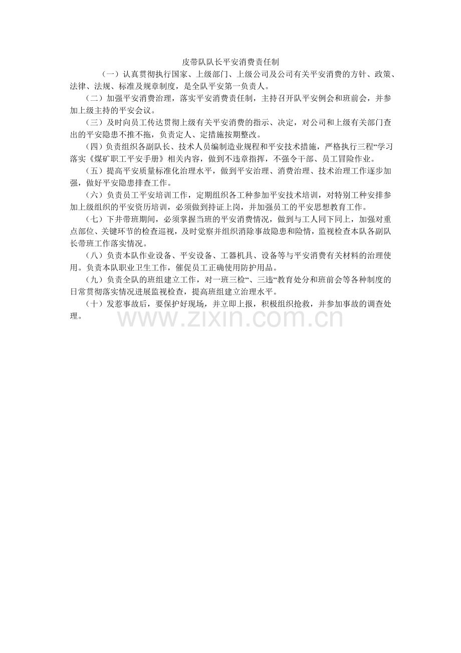 皮带队队长安全生产责任制.doc_第1页