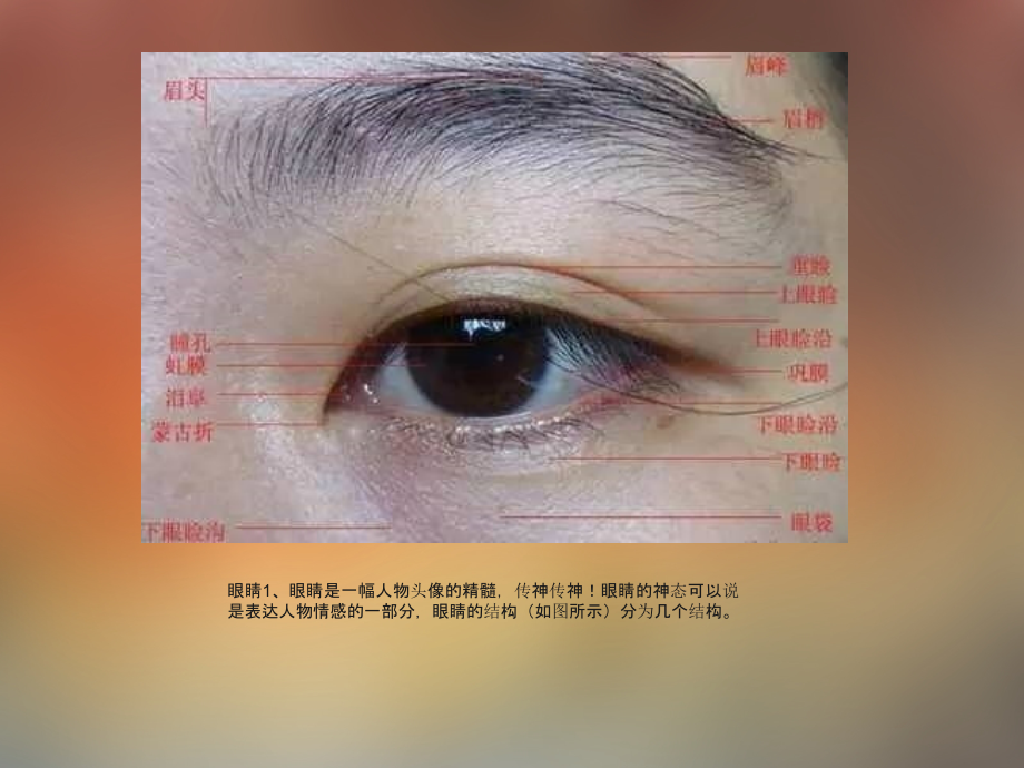 素描（眼睛的描写）.pptx_第2页