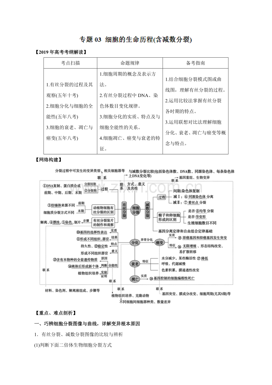 专题03细胞的生命历程（学案）.doc_第1页