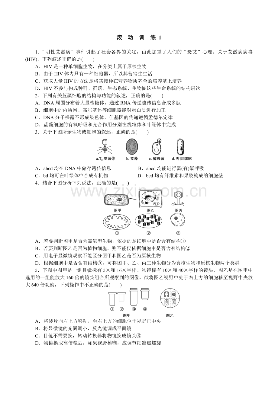 遗传滚动训练1.doc_第1页