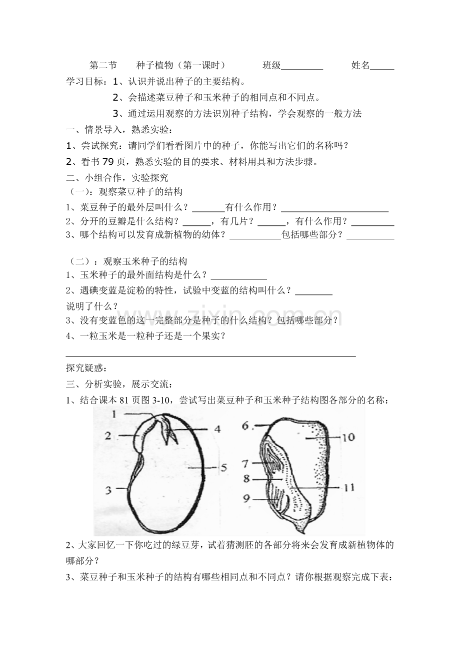 种子植物学生用.doc_第1页