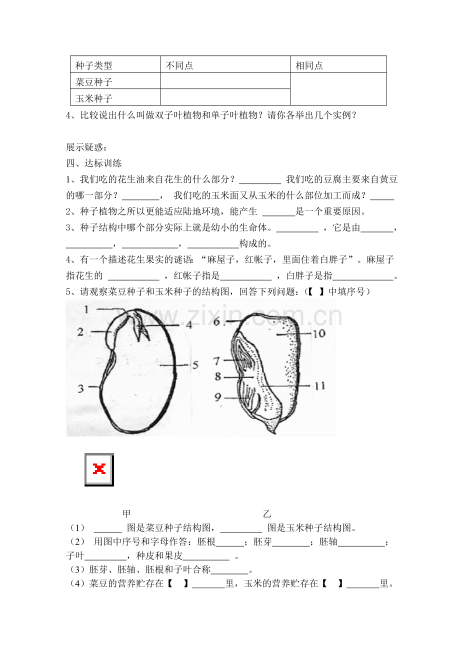种子植物学生用.doc_第2页