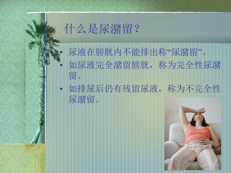 尿潴留病人的医疗护理.ppt_第2页