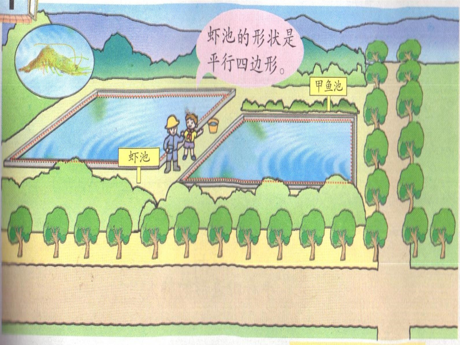 《平行四边形的特征》课件.ppt_第2页