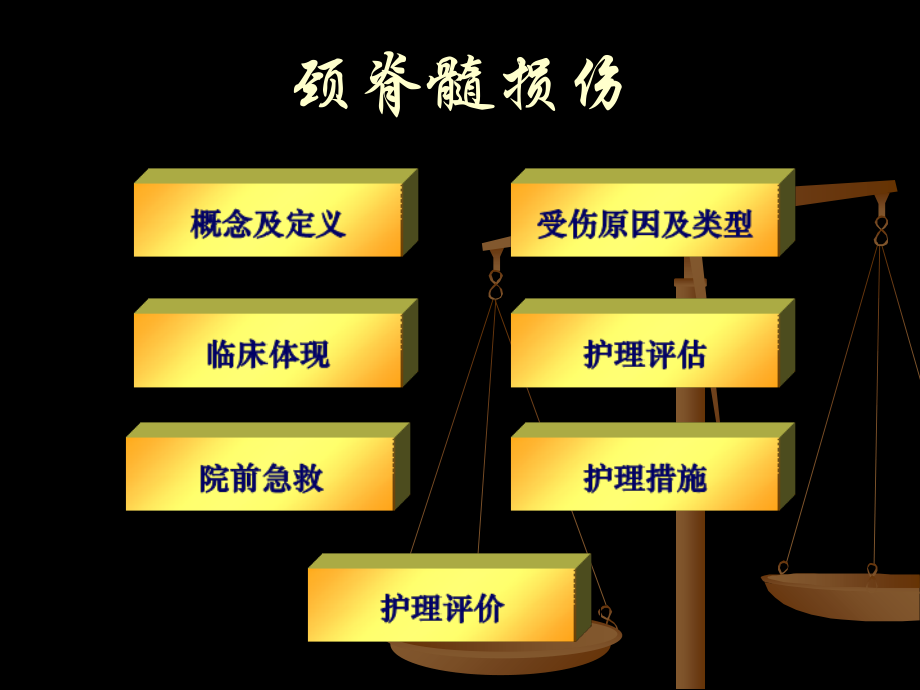 急性颈脊髓损伤院前急救护理.ppt_第2页