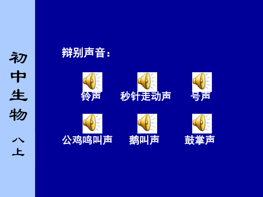 耳与听觉——视频稿.ppt_第2页