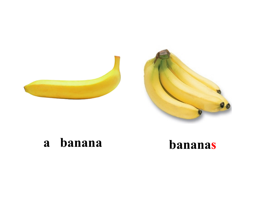 人教版英语七上课件Unit6DoyoulikebananasSectionA1a----2c（共29张PPT）.ppt_第2页