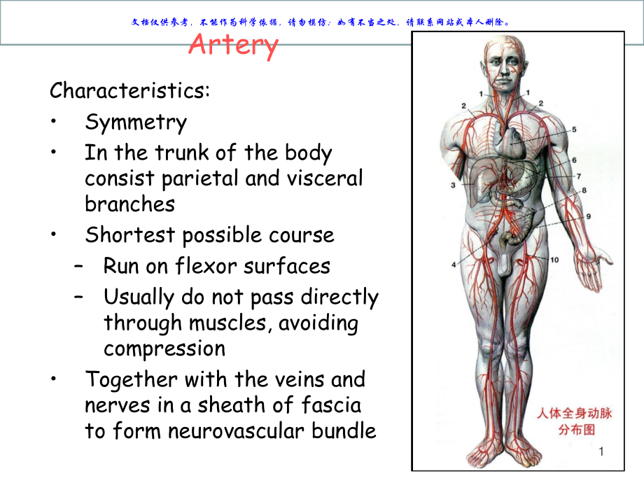 麦克明彩色人体解剖图课件.ppt_第1页