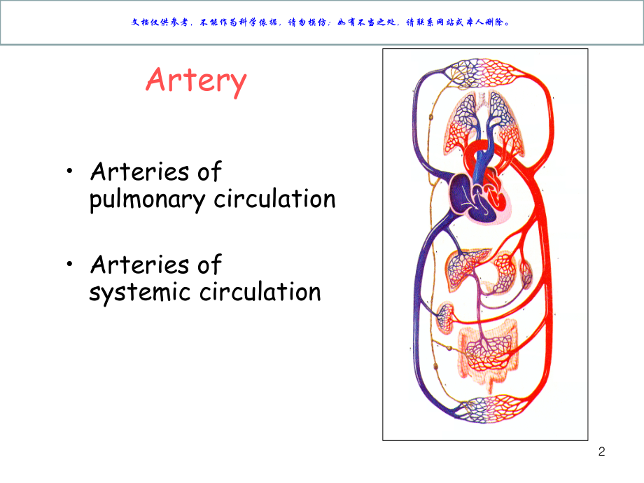 麦克明彩色人体解剖图课件.ppt_第2页