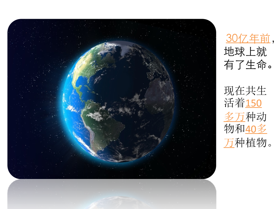 《美丽的生命》课件.pptx_第2页