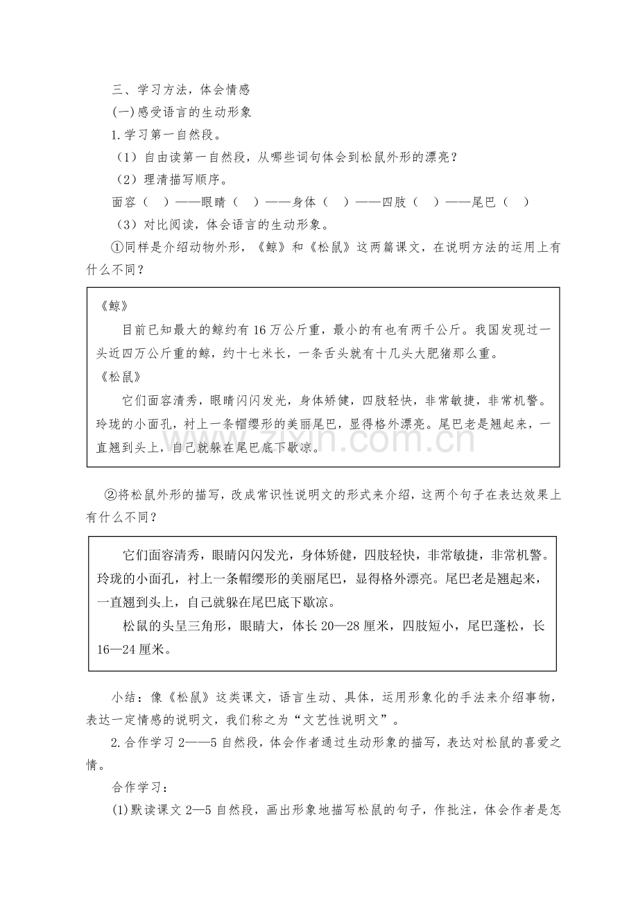 松鼠教案 (2).doc_第2页