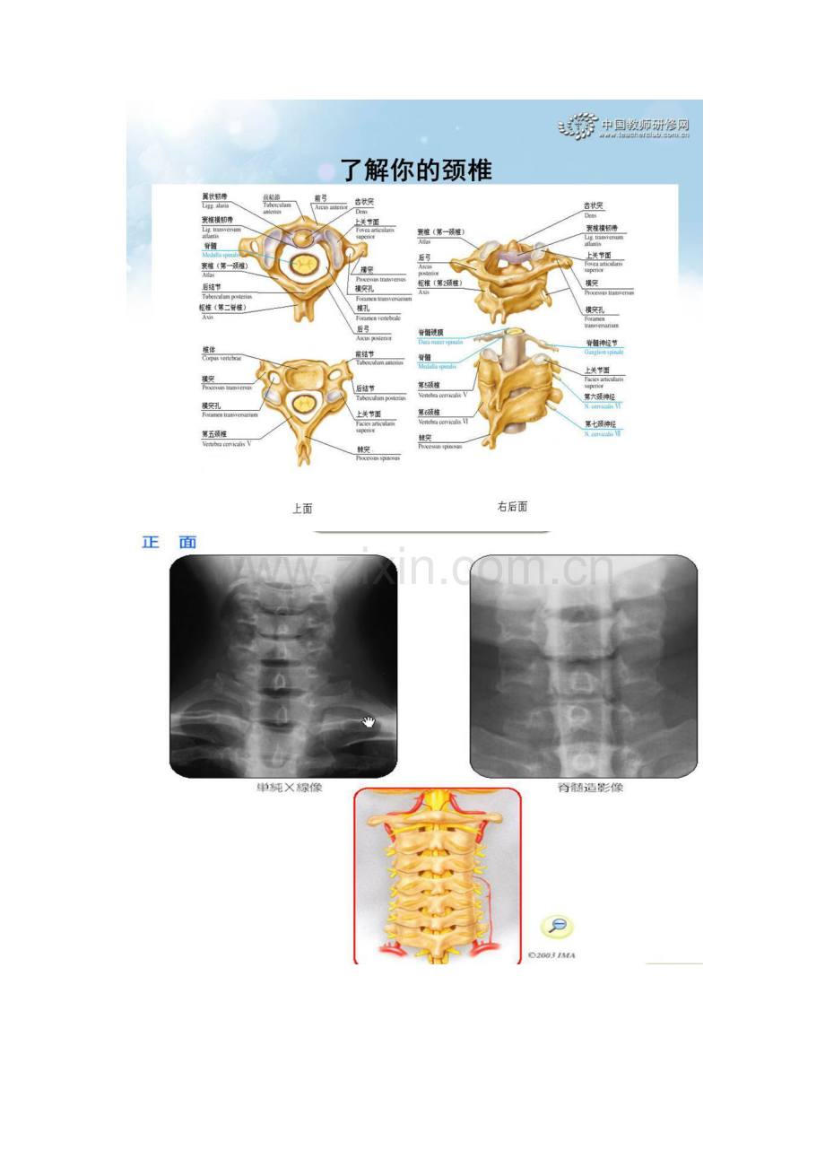 了解你的颈椎.docx_第2页