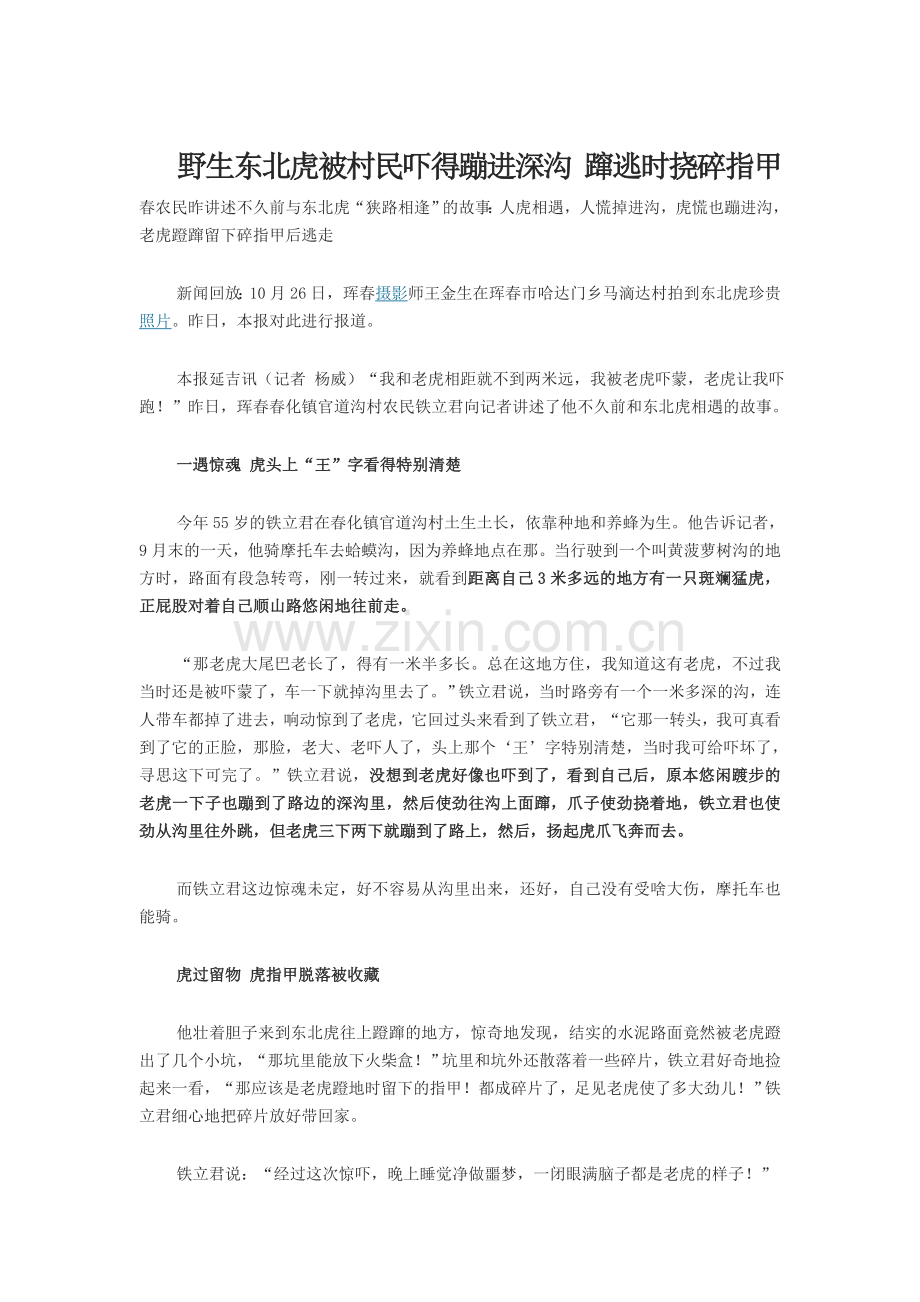 野生东北虎被村民吓得蹦进深沟-蹿逃时挠碎指甲.doc_第1页