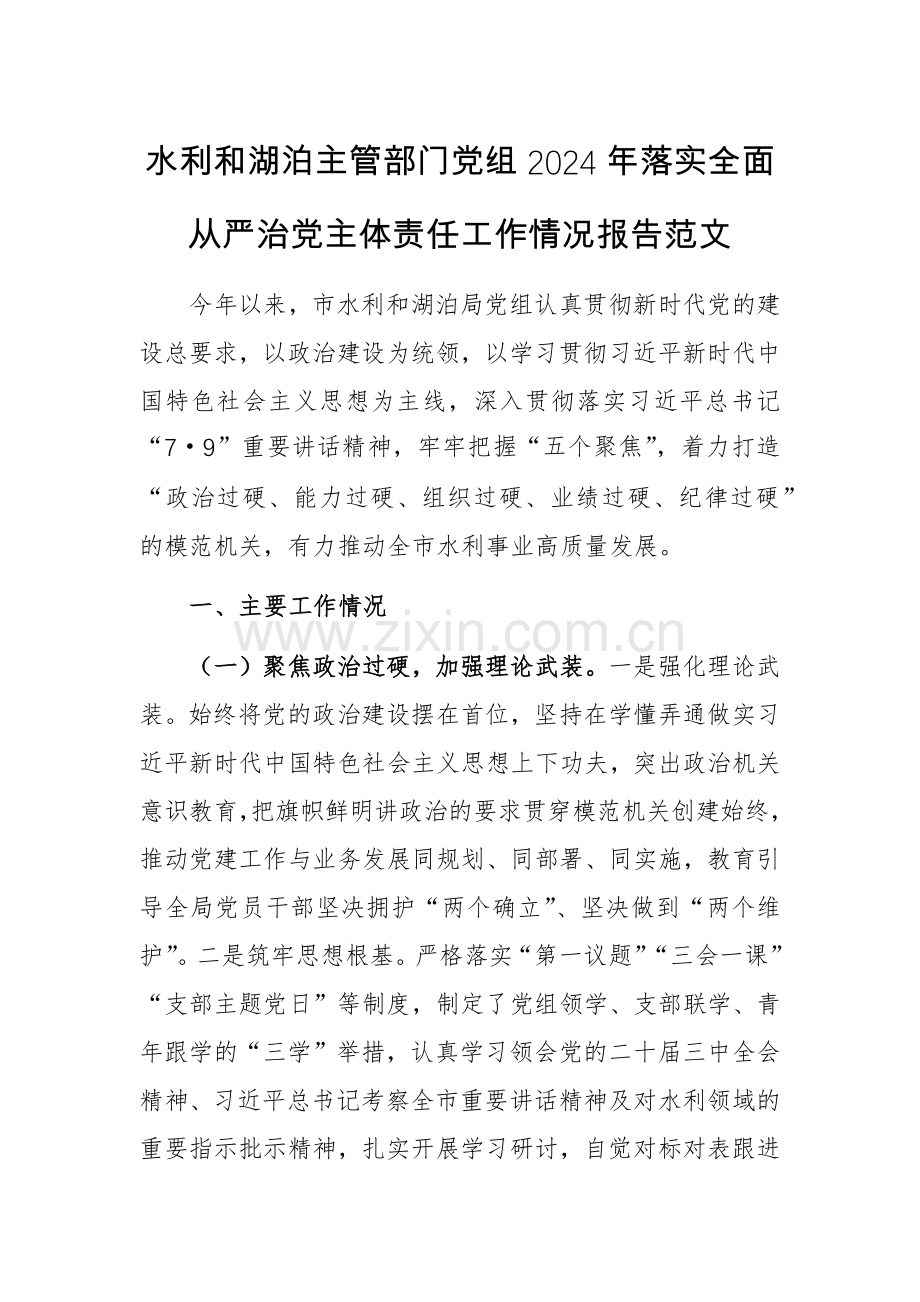 水利和湖泊主管部门党组2024年落实全面从严治党主体责任工作情况报告范文.docx_第1页