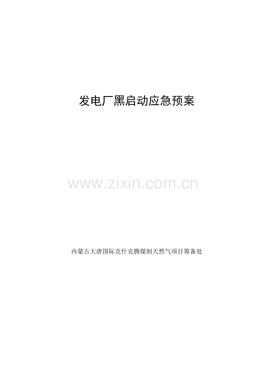 发电厂黑启动应急预案.doc_第1页