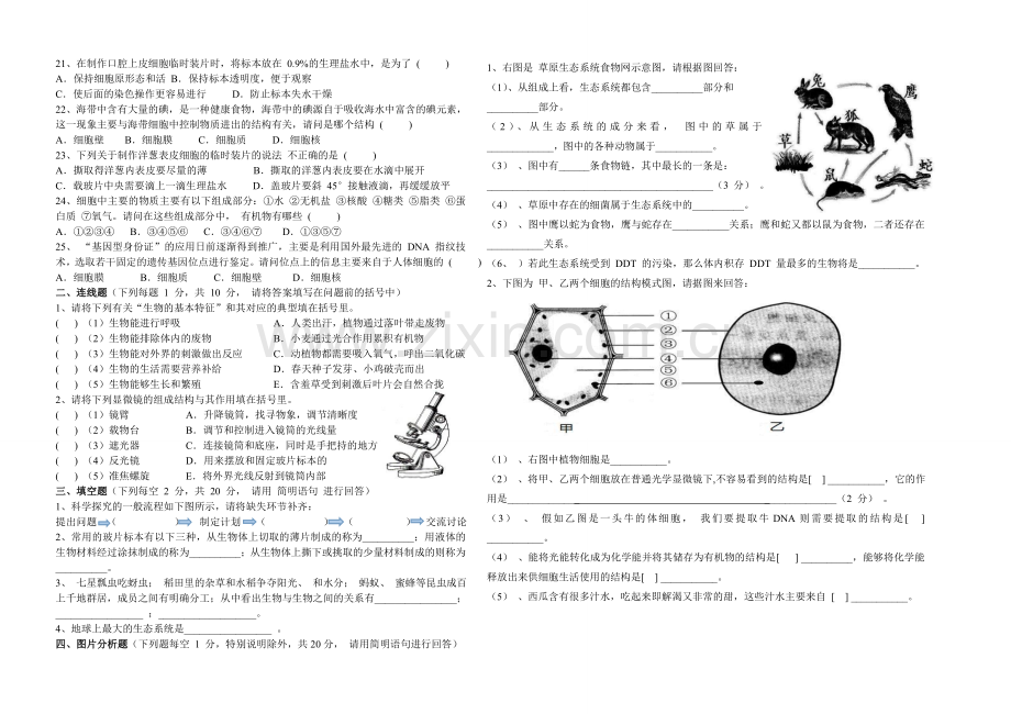 新人教版七年级生物上册半期考试试卷及答案.doc_第2页