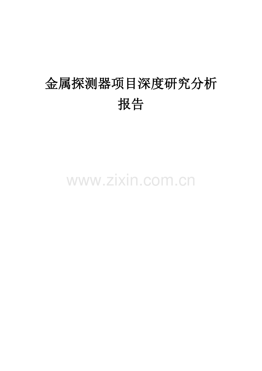 金属探测器项目深度研究分析报告.docx_第1页