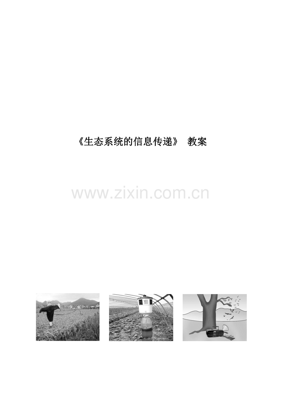 生态系统信息传递教案.doc_第1页