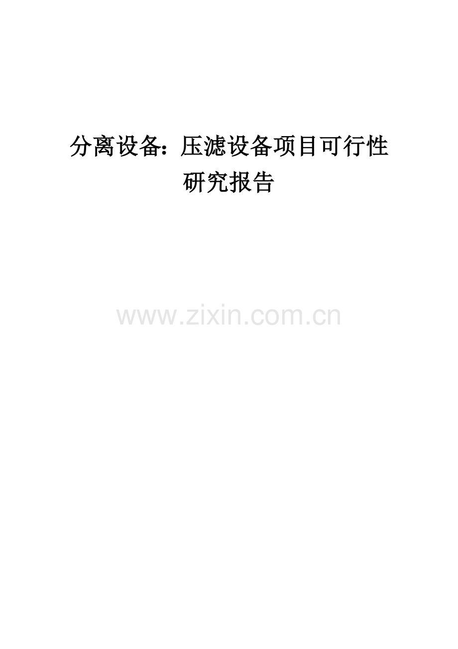 分离设备：压滤设备项目可行性研究报告.docx_第1页