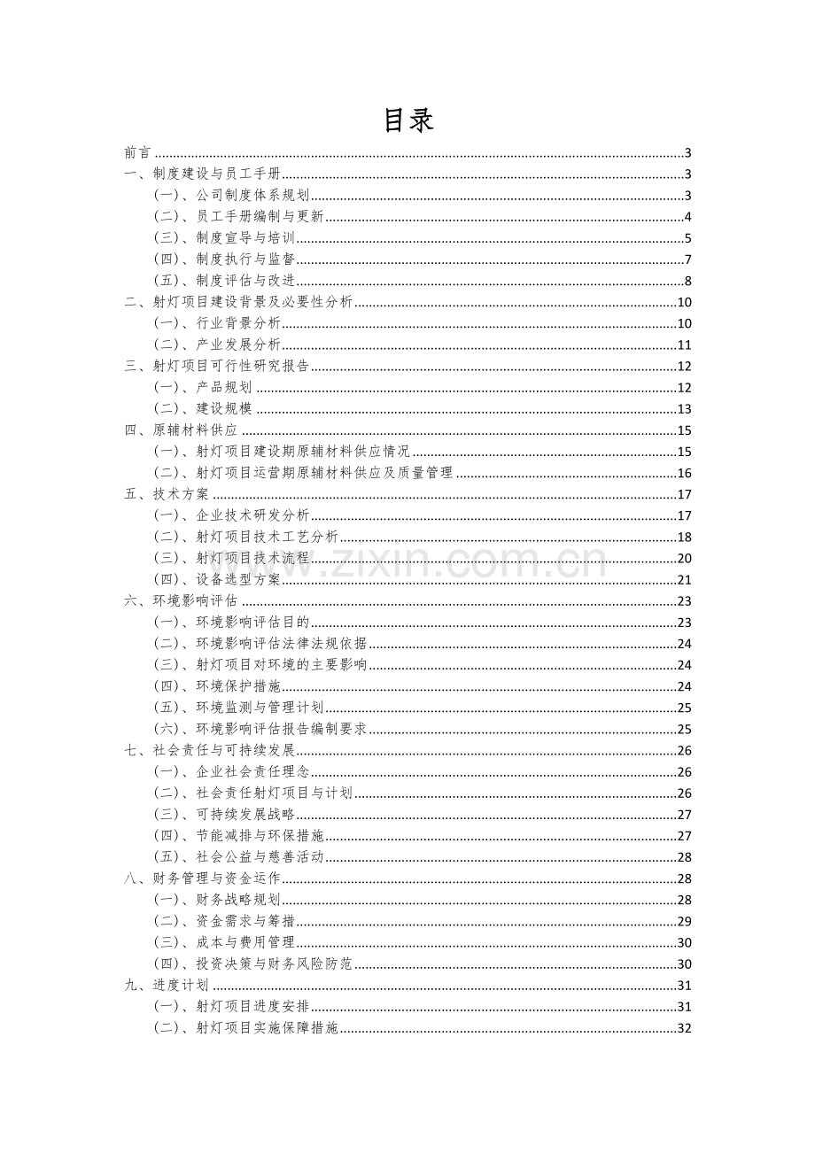 射灯项目可行性分析报告.docx_第2页