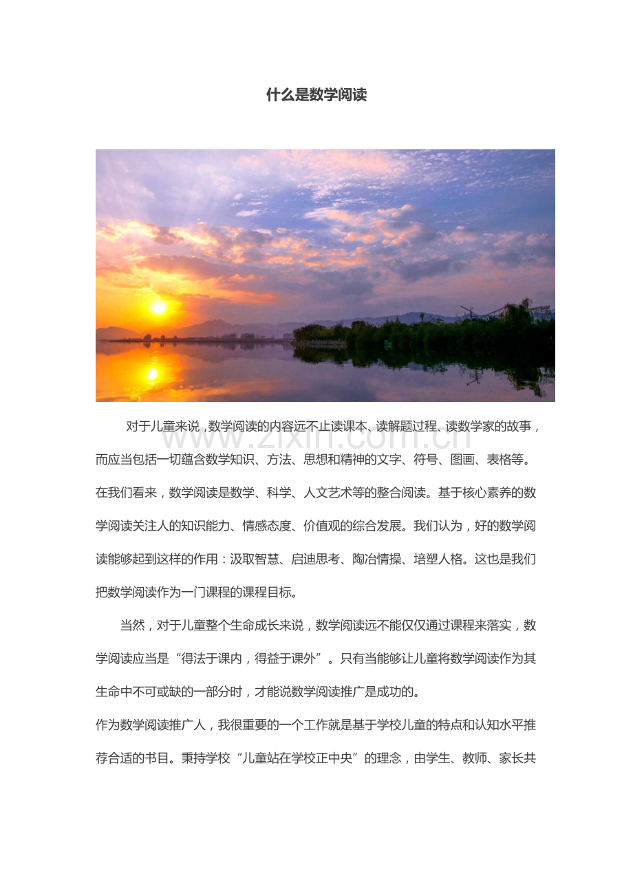 什么是数学阅读.doc_第1页